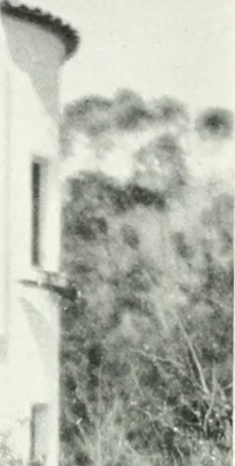 An illustration from Architect and engineer, 1905, leaf 473