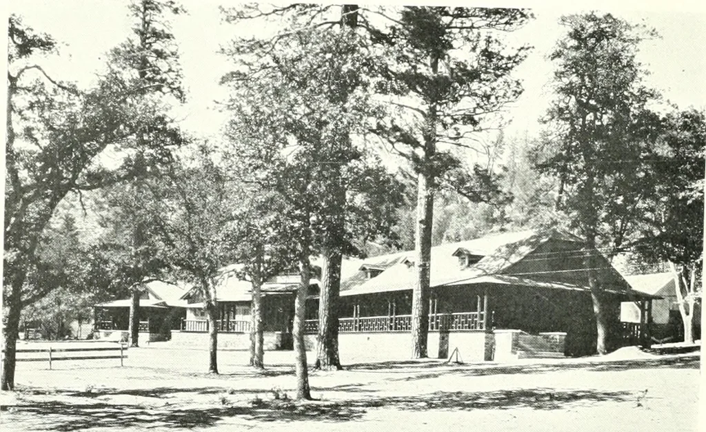 An illustration from Architect and engineer, 1905, leaf 482