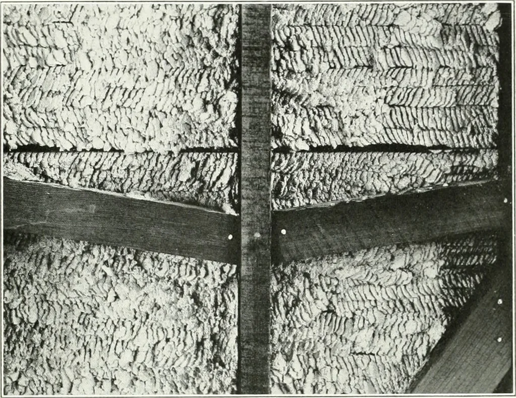 An illustration from Architect and engineer, 1905, leaf 50