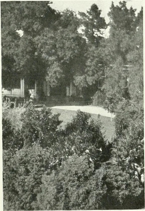 An illustration from Architect and engineer, 1905, leaf 8