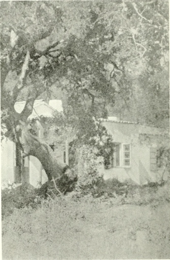 An illustration from Architect and engineer, 1905, leaf 93
