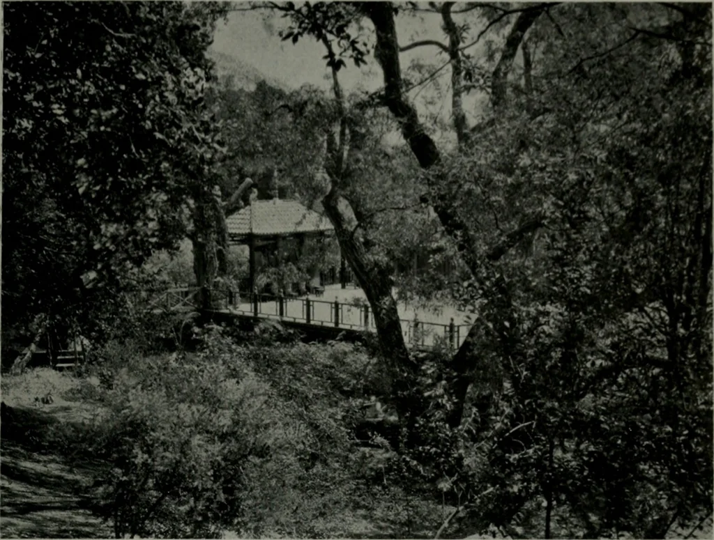 An illustration from Architect and engineer, 1905, leaf 120