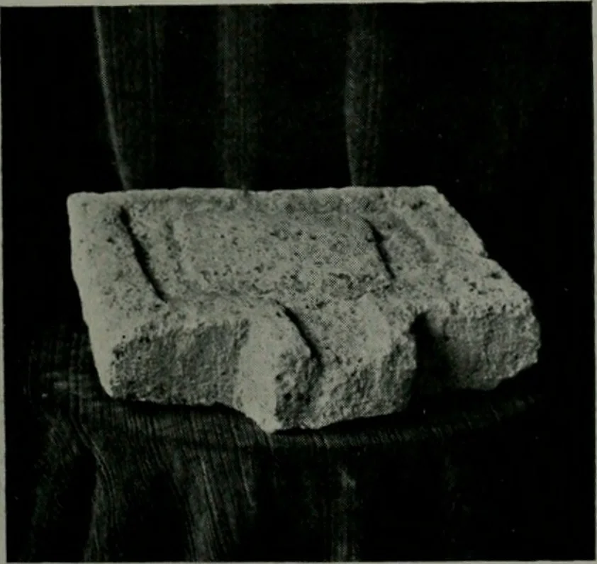 An illustration from Architect and engineer, 1905, leaf 294