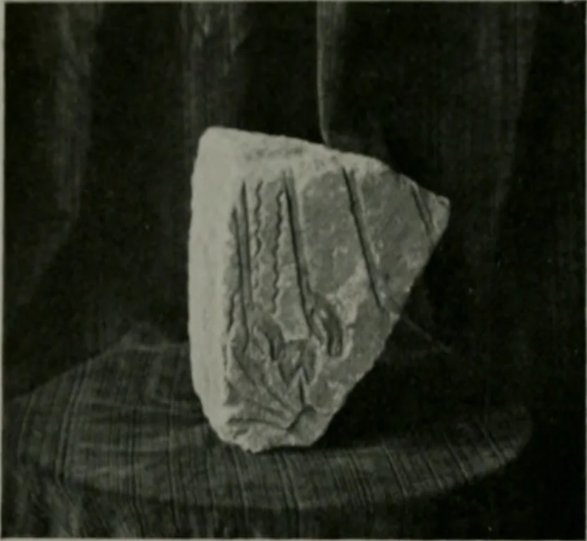 An illustration from Architect and engineer, 1905, leaf 295