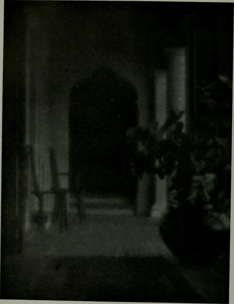 An illustration from Architect and engineer, 1905, leaf 35