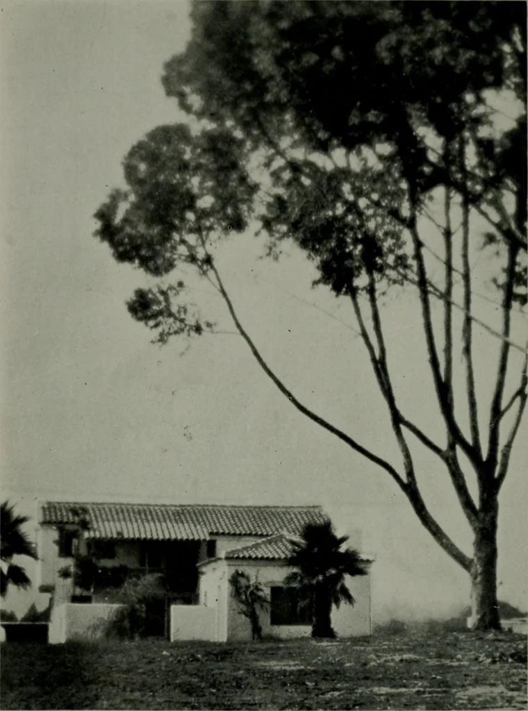 An illustration from Architect and engineer, 1905, leaf 419