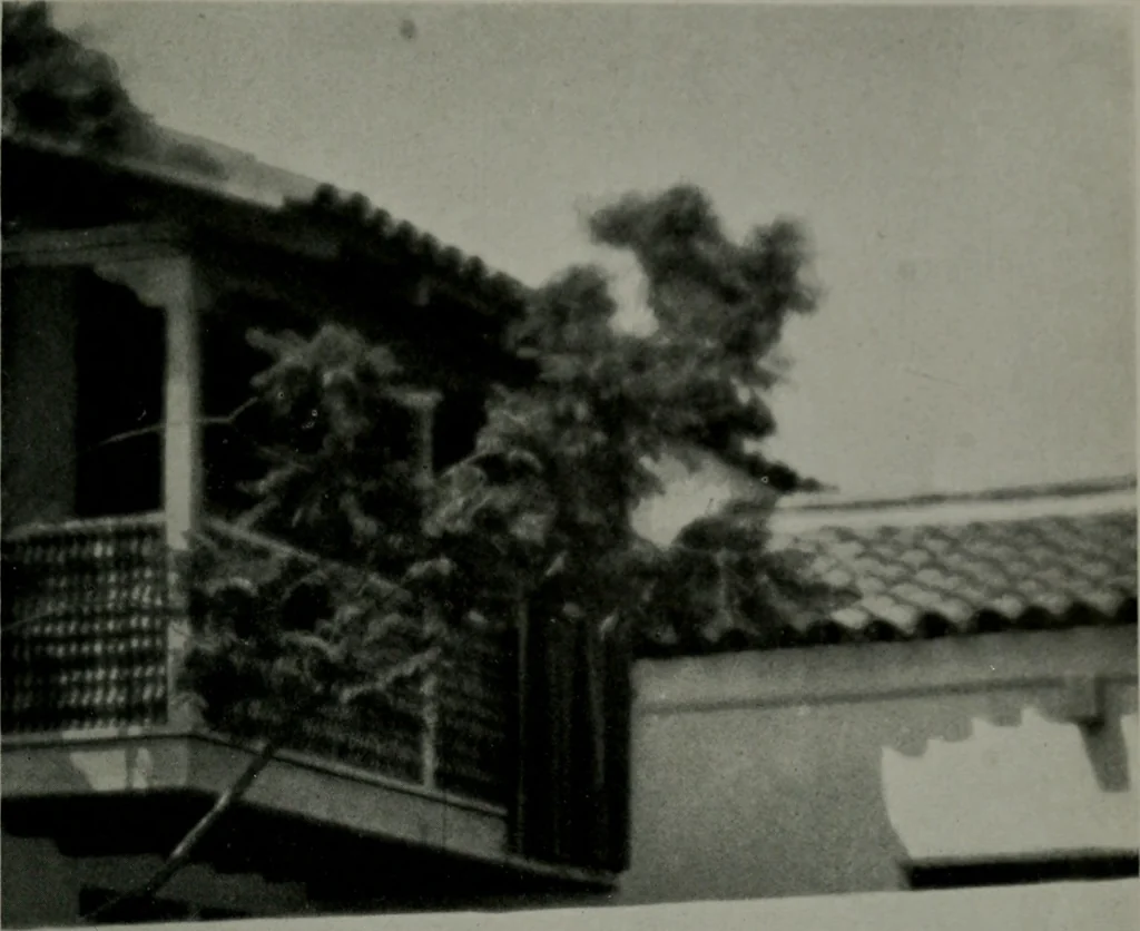 An illustration from Architect and engineer, 1905, leaf 432