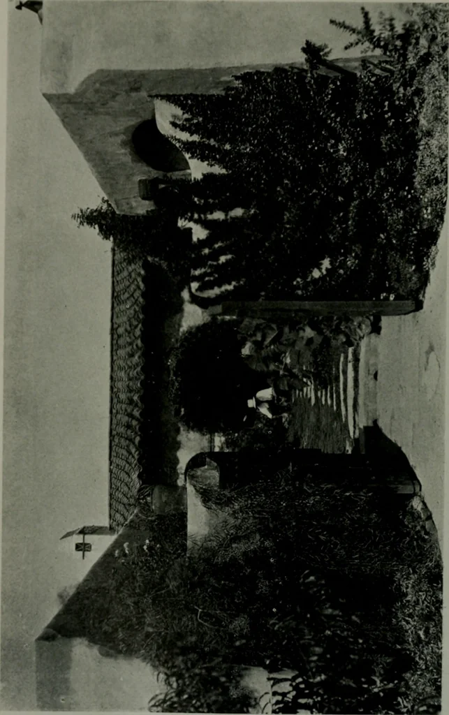 An illustration from Architect and engineer, 1905, leaf 435