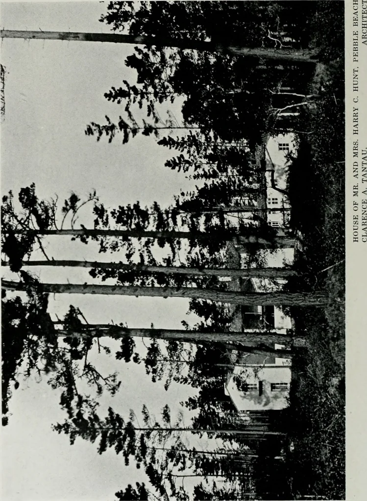 An illustration from Architect and engineer, 1905, leaf 113