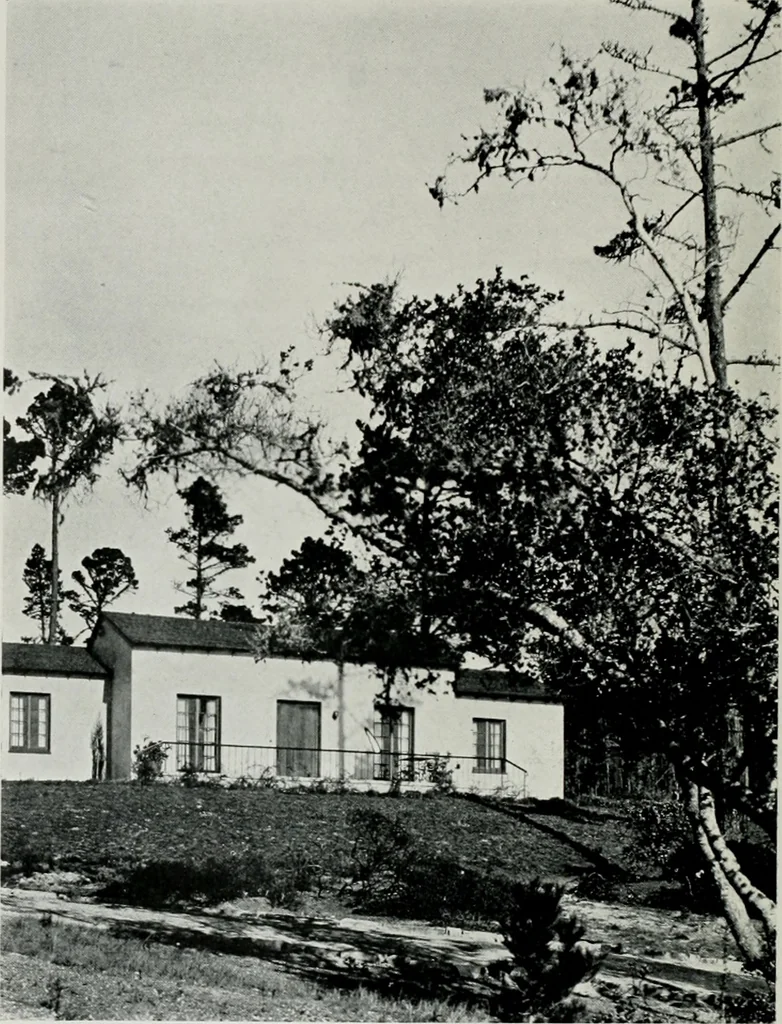 An illustration from Architect and engineer, 1905, leaf 117