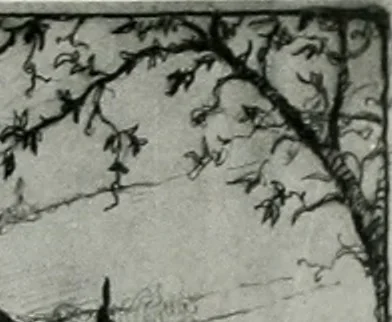 An illustration from Architect and engineer, 1905, leaf 496