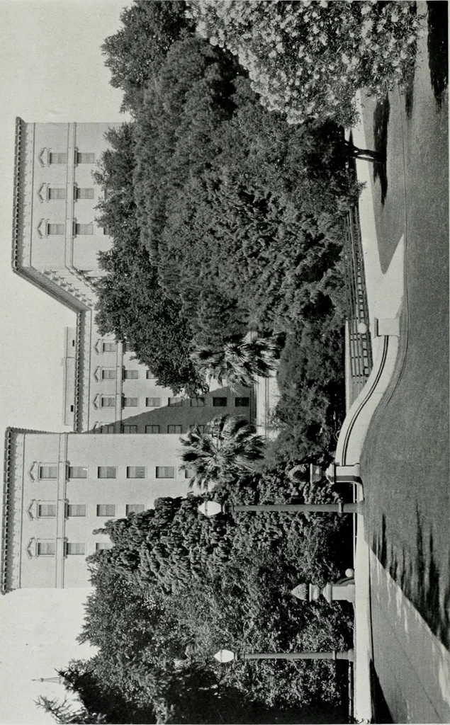 An illustration from Architect and engineer, 1905, leaf 51