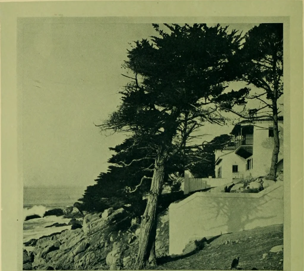 An illustration from Architect and engineer, 1905, leaf 85