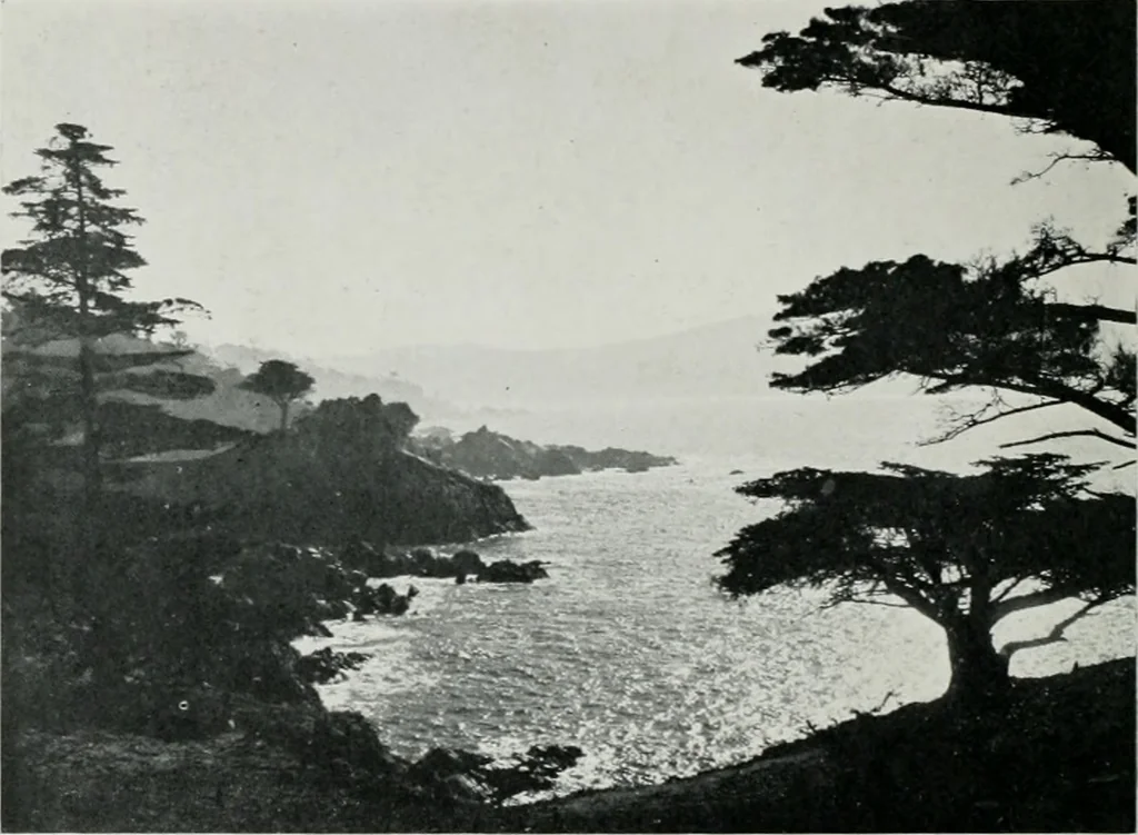 An illustration from Architect and engineer, 1905, leaf 87