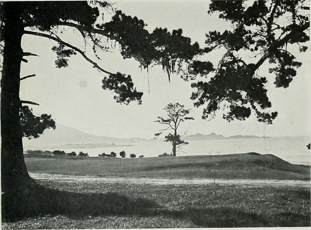 An illustration from Architect and engineer, 1905, leaf 88