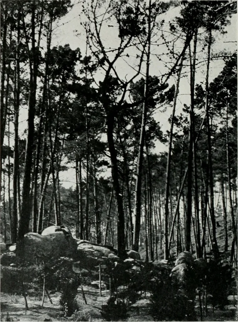 An illustration from Architect and engineer, 1905, leaf 89