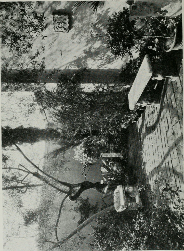 An illustration from Architect and engineer, 1905, leaf 171