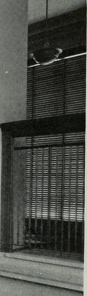 An illustration from Architect and engineer, 1905, leaf 24