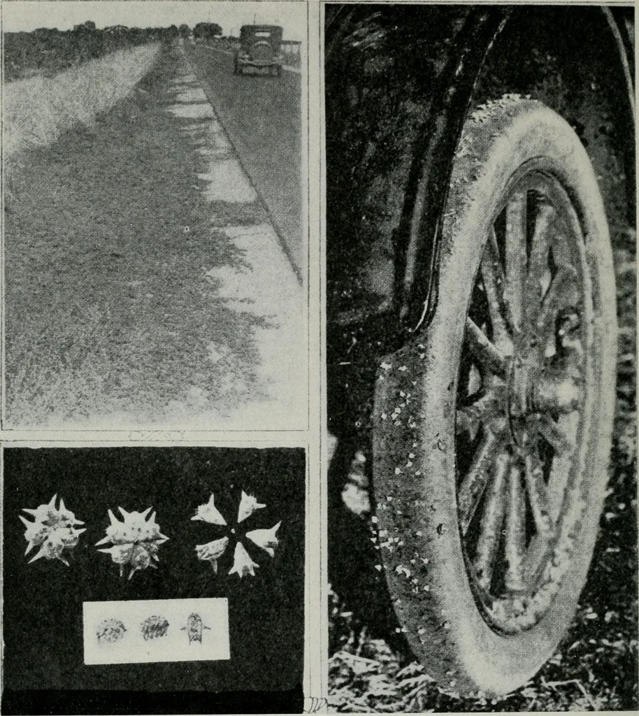 An illustration from Architect and engineer, 1905, leaf 309
