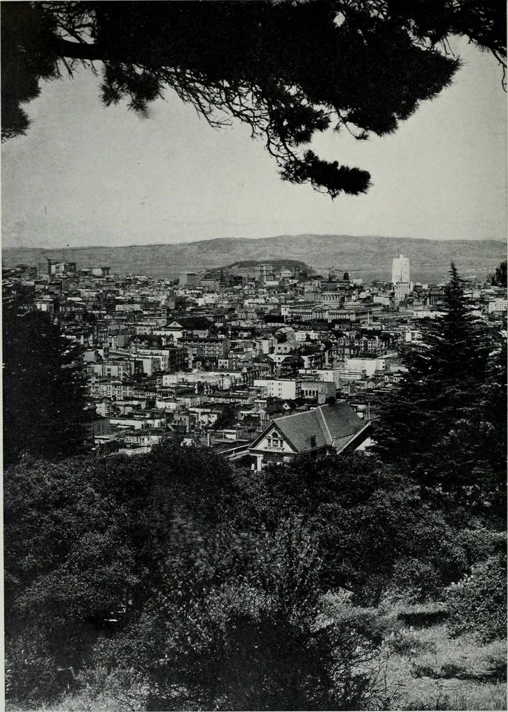 An illustration from Architect and engineer, 1905, leaf 409