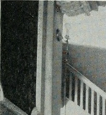 An illustration from Architect and engineer, 1905, leaf 42