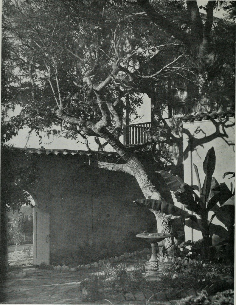 An illustration from Architect and engineer, 1905, leaf 67
