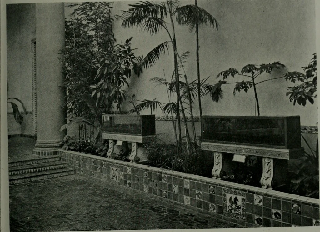 An illustration from Architect and engineer, 1905, leaf 218