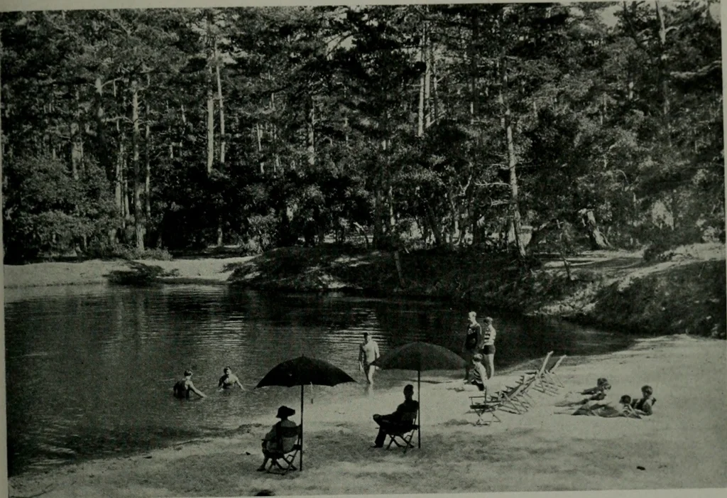 An illustration from Architect and engineer, 1905, leaf 272
