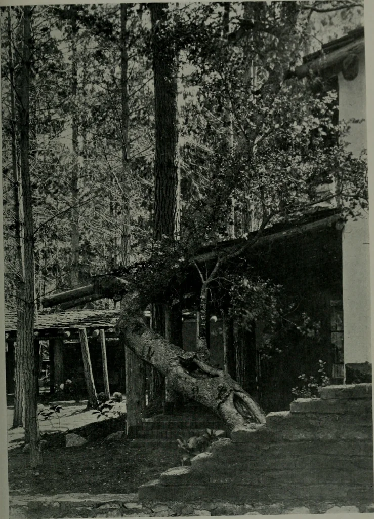 An illustration from Architect and engineer, 1905, leaf 314
