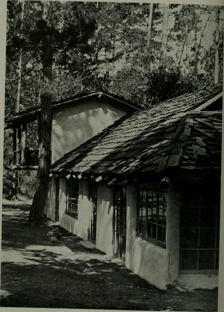 An illustration from Architect and engineer, 1905, leaf 315
