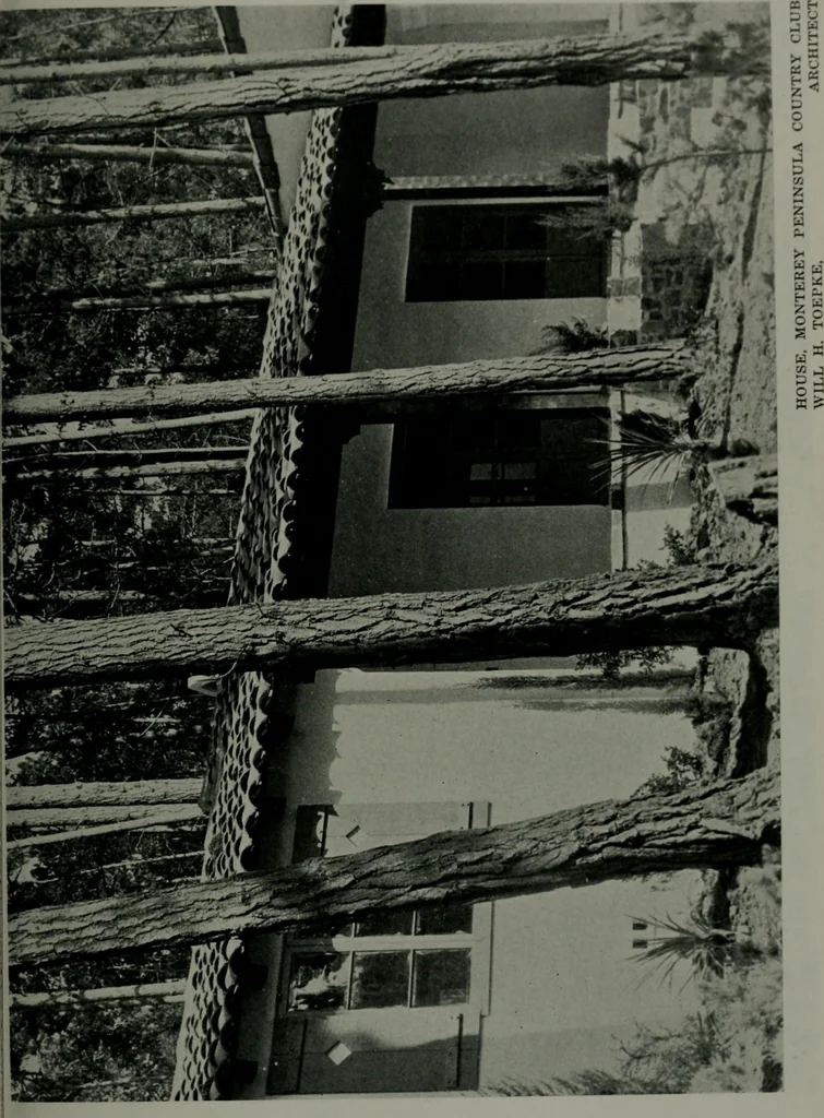 An illustration from Architect and engineer, 1905, leaf 328