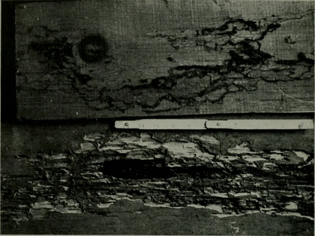 An illustration from Architect and engineer, 1905, leaf 513