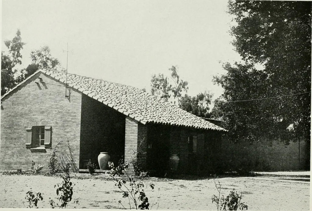 An illustration from Architect and engineer, 1905, leaf 271