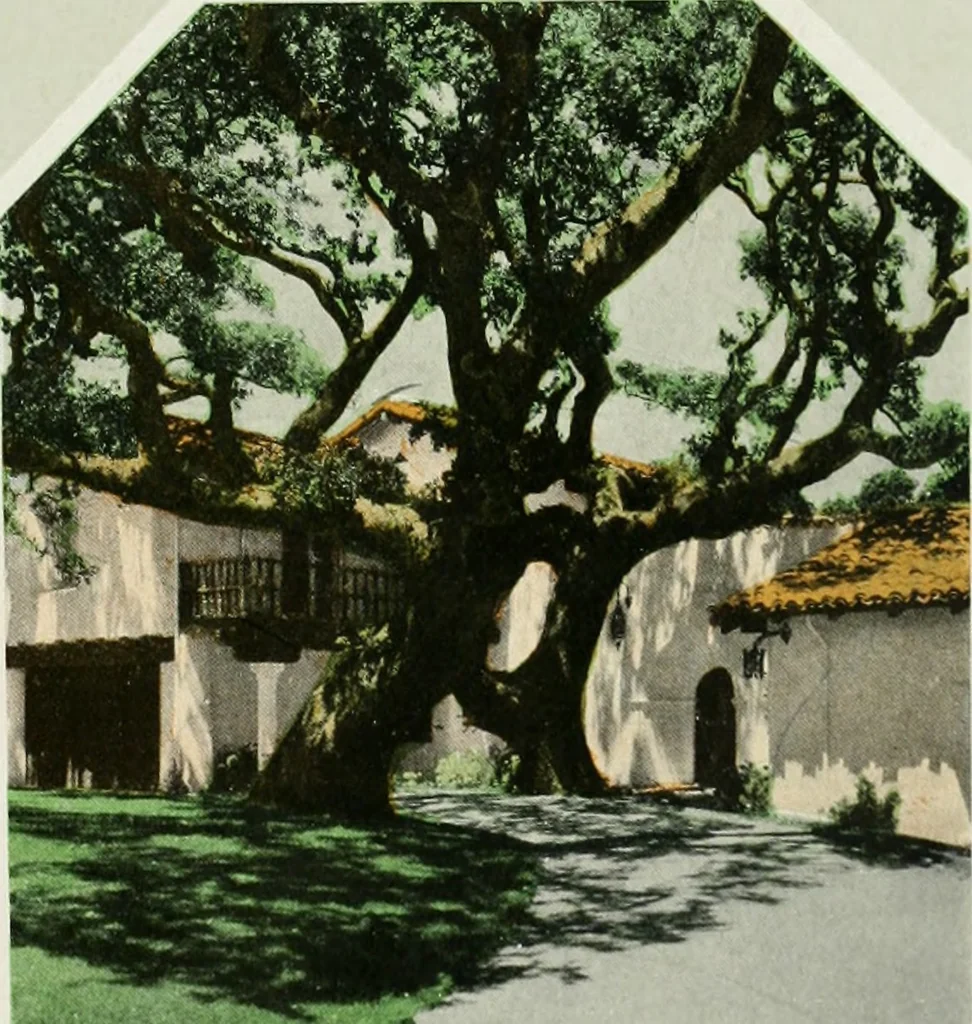 An illustration from Architect and engineer, 1905, leaf 338