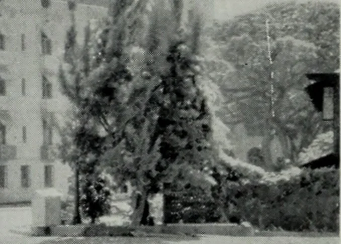 An illustration from Architect and engineer, 1905, leaf 17