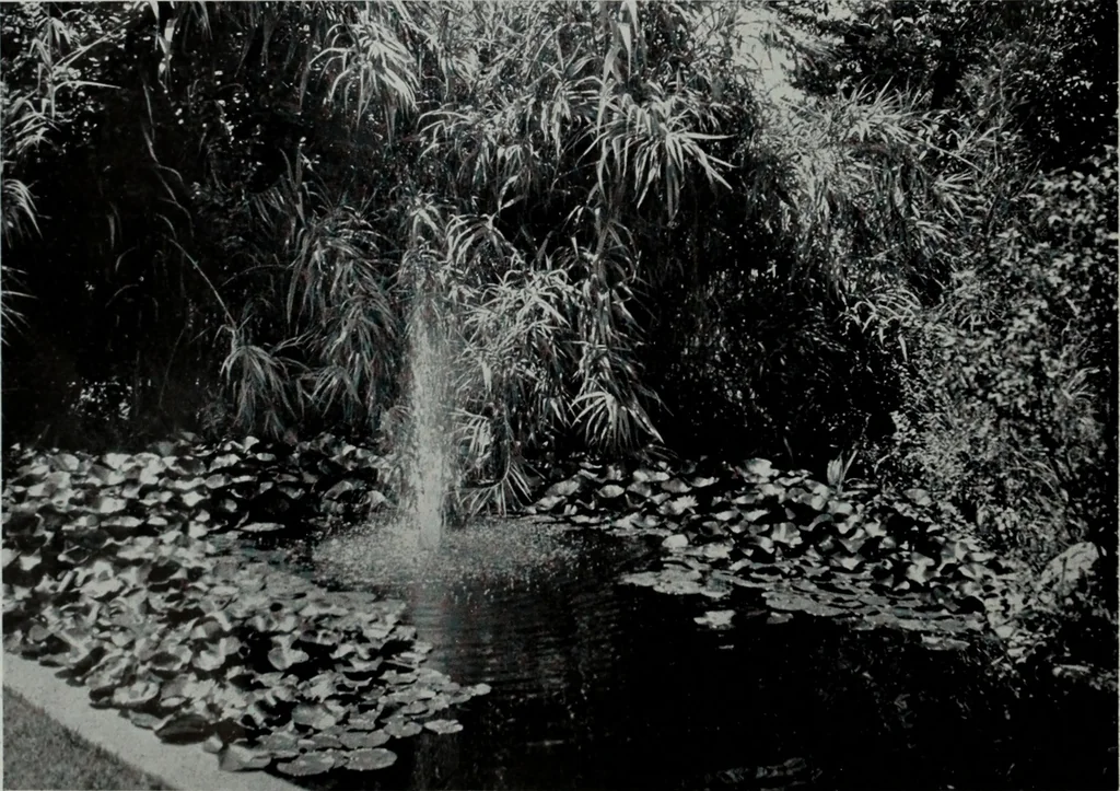 An illustration from Architect and engineer, 1905, leaf 35