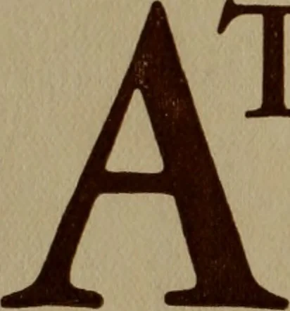An illustration from Architect and engineer, 1905, leaf 459