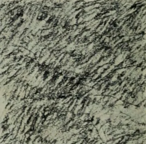 An illustration from Architect and engineer, 1905, leaf 119