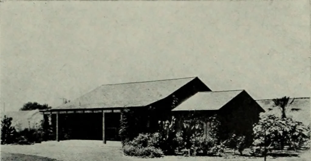 An illustration from Architect and engineer, 1905, leaf 223