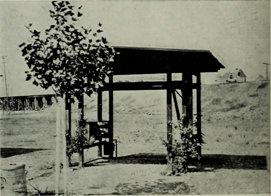 An illustration from Architect and engineer, 1905, leaf 223
