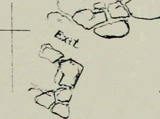 An illustration from Architect and engineer, 1905, leaf 395