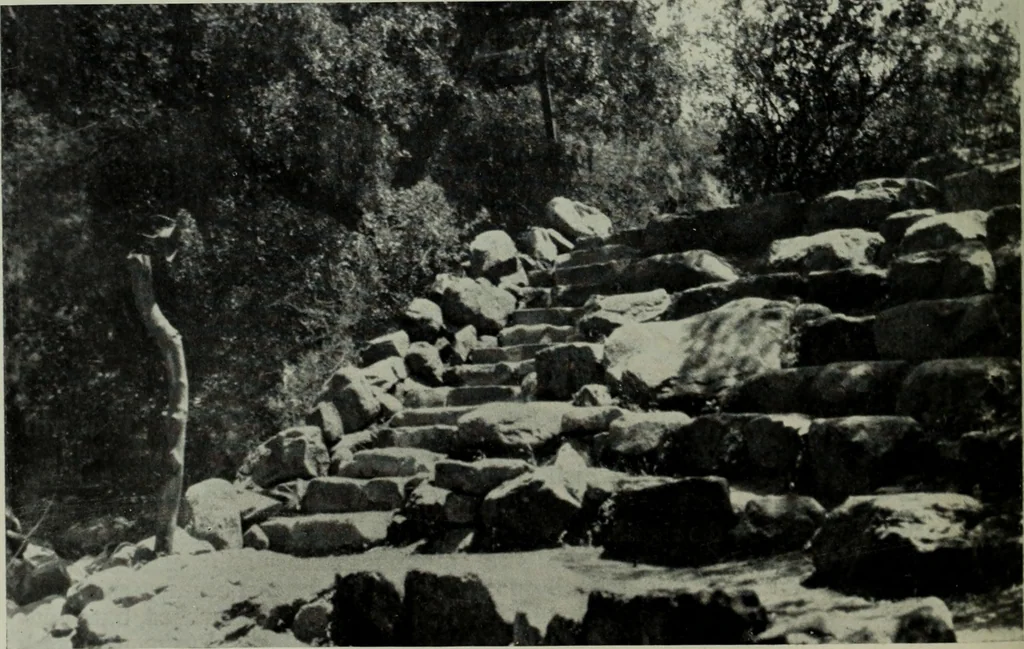 An illustration from Architect and engineer, 1905, leaf 399