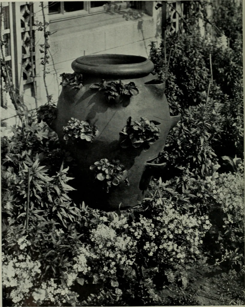 An illustration from Architect and engineer, 1905, leaf 45