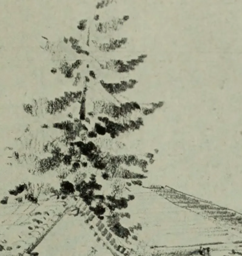 An illustration from Architect and engineer, 1905, leaf 478