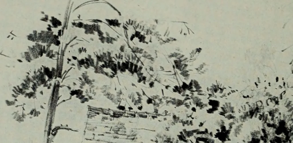 An illustration from Architect and engineer, 1905, leaf 479