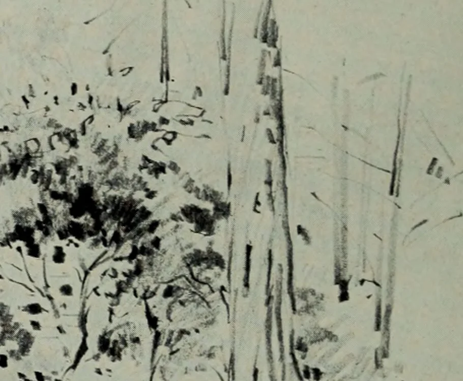 An illustration from Architect and engineer, 1905, leaf 479