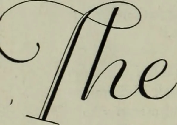 An illustration from Architect and engineer, 1905, leaf 545