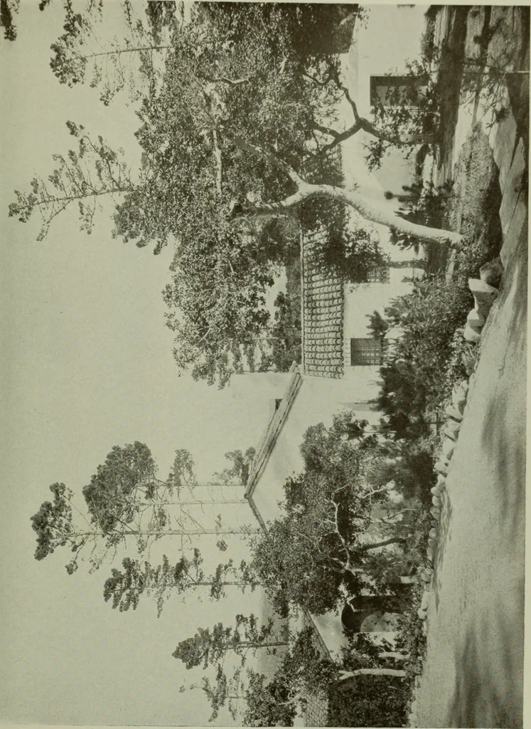 An illustration from Architect and engineer, 1905, leaf 62