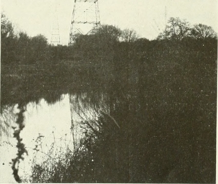 An illustration from Architect and engineer, 1905, leaf 542