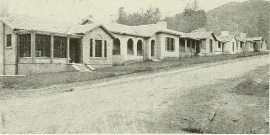 An illustration from Architect and engineer, 1905, leaf 544